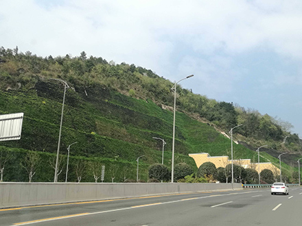 護坡效果